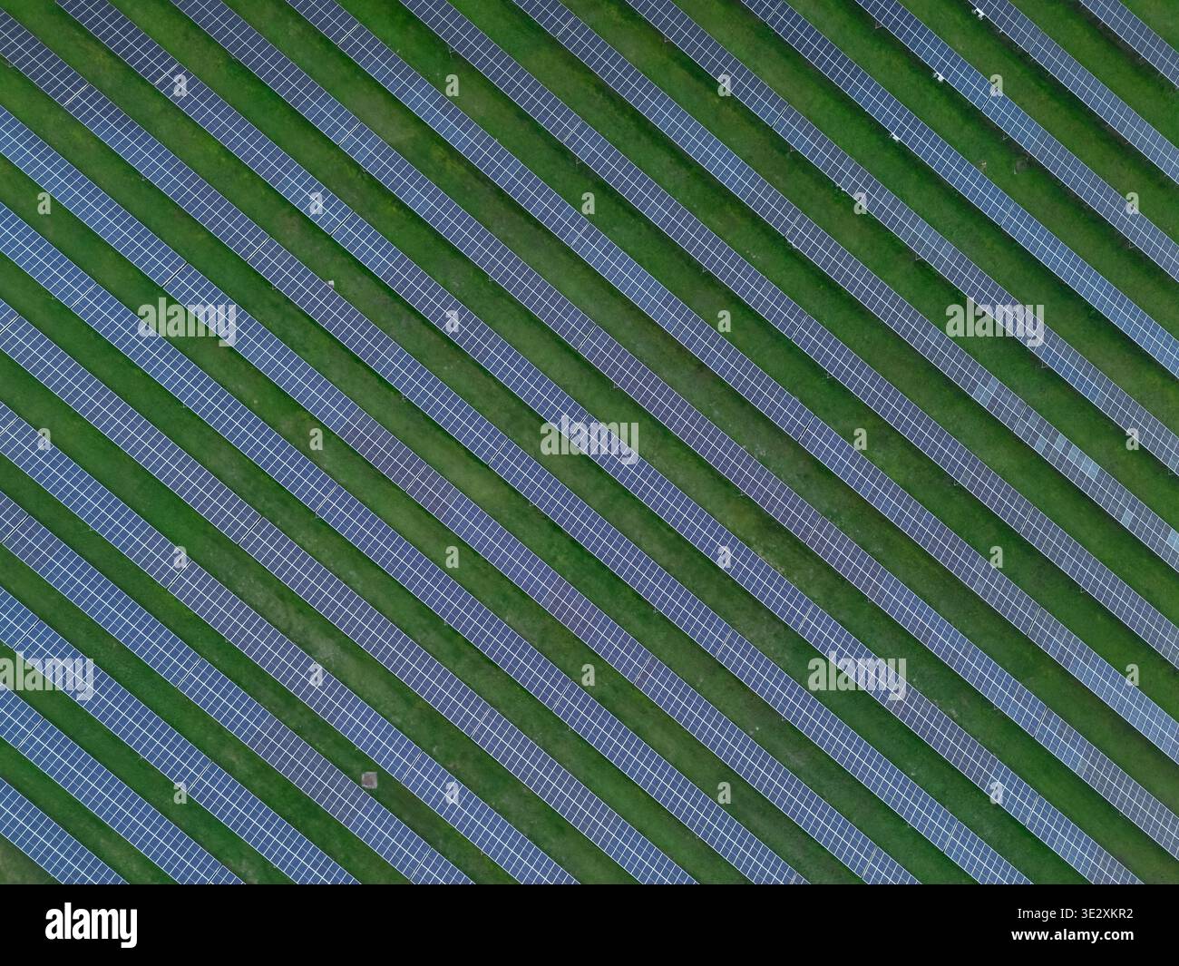 Pannelli solari disposti su erba verde. La vista aerea mette in evidenza i modelli puliti della tecnologia delle energie rinnovabili in uso. Foto Stock