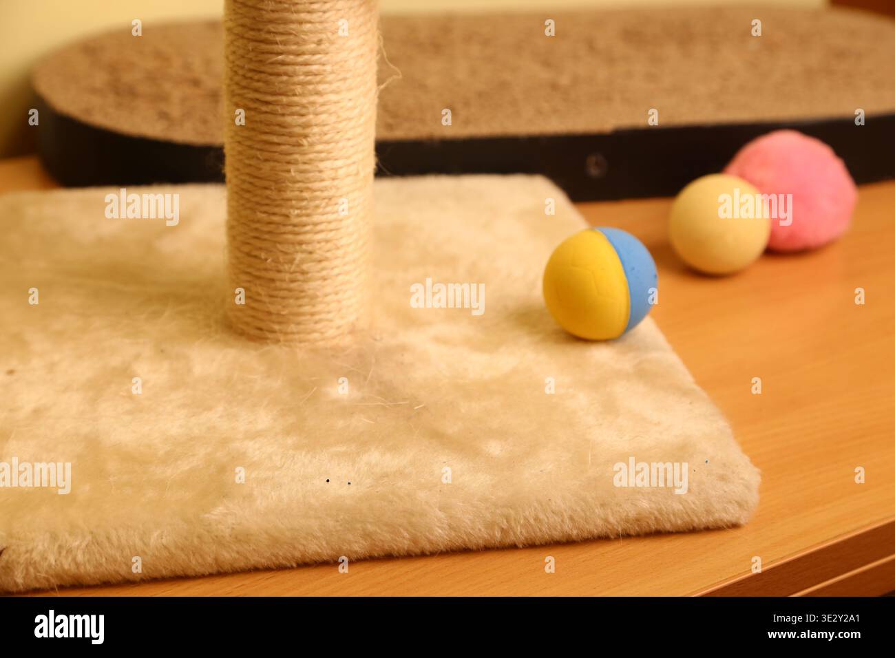 Palle colorate poggiano su un tavolo di legno vicino a un palo graffiante. La scena mostra un'ambientazione divertente per gli animali domestici, con una superficie morbida per il massimo comfort. E' giorno in una stanza piena di luce. Foto Stock