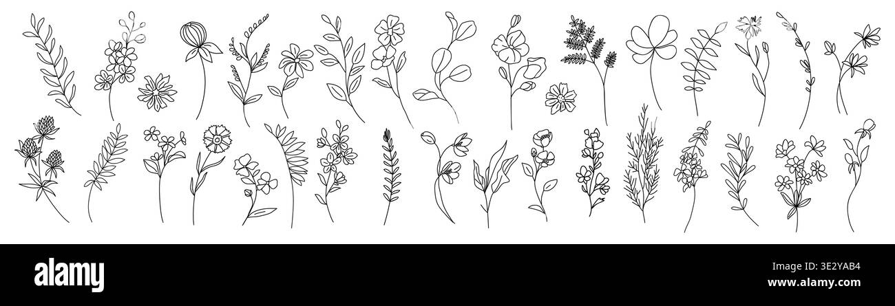 Piccoli e delicati schizzi di fiori selvatici e foglie Illustrazione Vettoriale