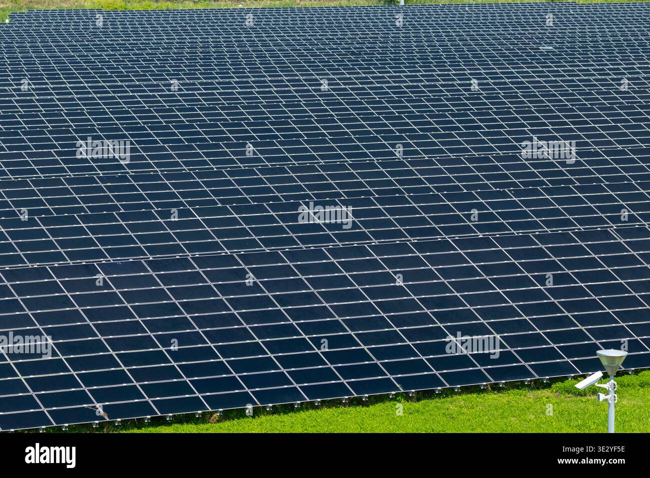 Pannelli solari che coprono un grande campo, producendo energia elettrica rinnovabile Foto Stock