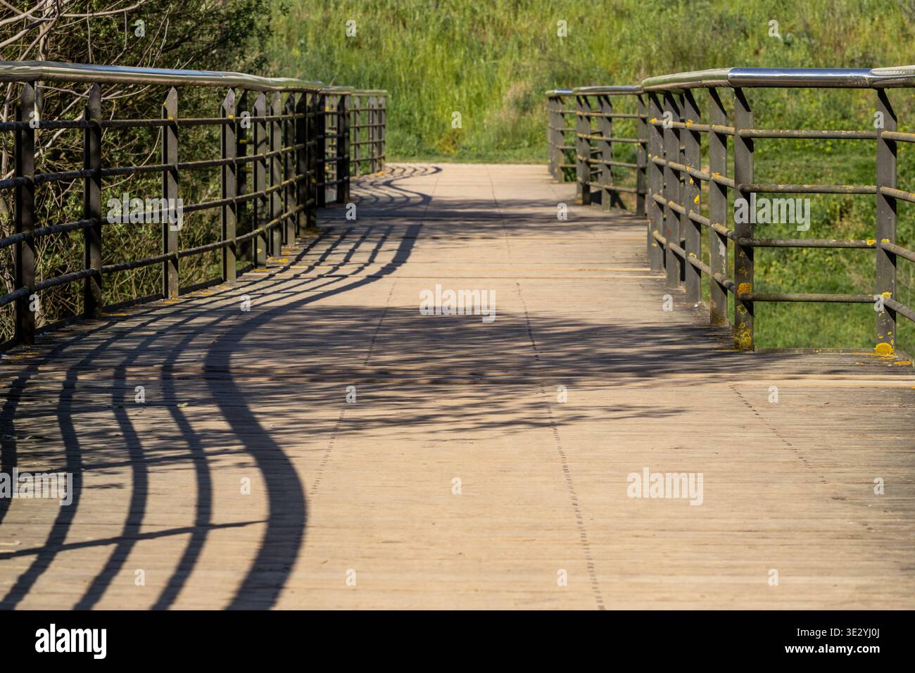 Ponte pedonale in legno con ringhiera in metallo e ombre curve in un paesaggio verde naturale Foto Stock