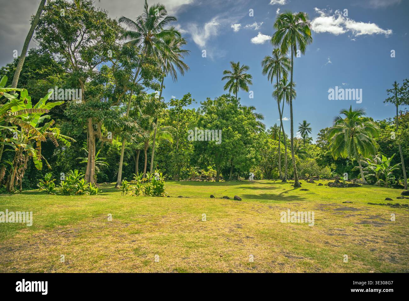 Una tranquilla scena di un paradiso tropicale caratterizzato da una fitta vegetazione verde, rocce sparse e cieli azzurri con nuvole mogliose Foto Stock