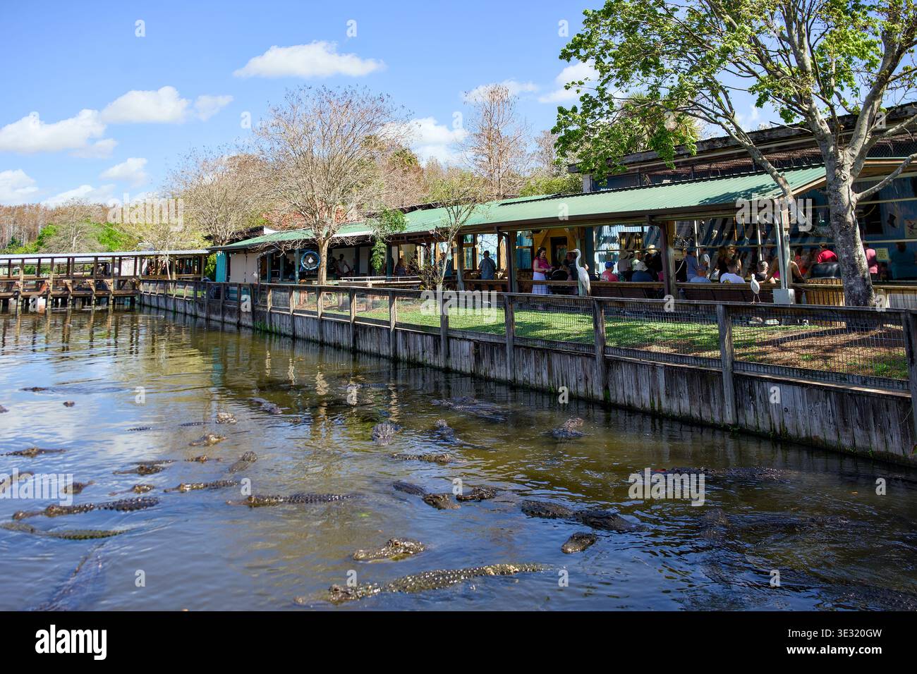 Persone che guardano gli alligatori a Gatorland Orlando Florida, 9 marzo 2026 Foto Stock