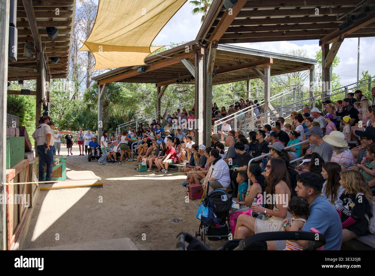Pubblico allo spettacolo degli alligatori Gatorland Orlando 9 marzo 2026 Foto Stock