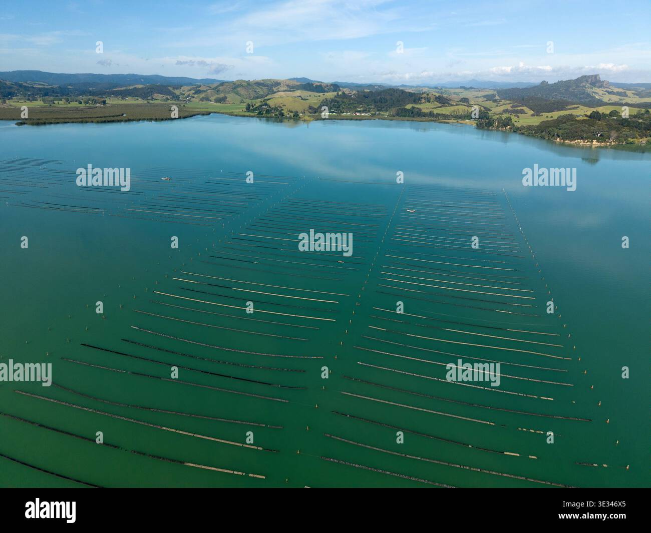 Vista aerea dell'allevamento di ostriche nel porto di Whangaroa, Northland, nuova Zelanda Foto Stock
