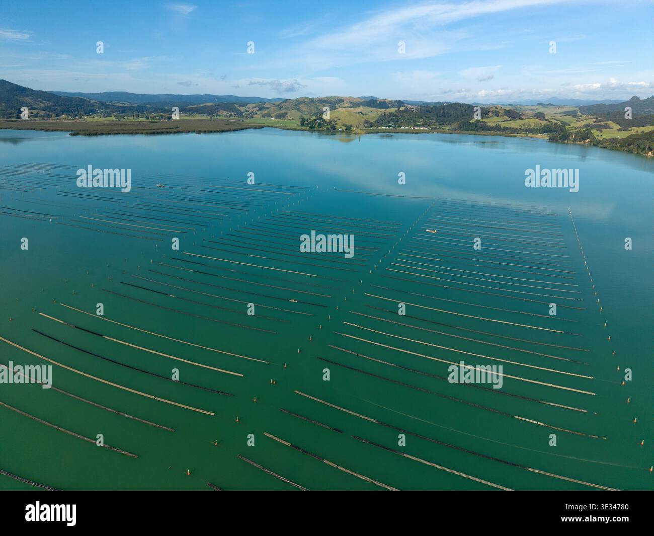 Vista aerea dell'allevamento di ostriche nel porto di Whangaroa, Northland, nuova Zelanda Foto Stock