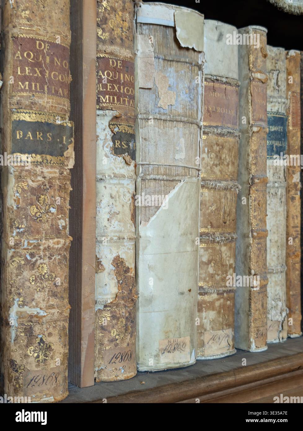 Immagine ravvicinata con libri antichi sugli scaffali di una biblioteca Foto Stock
