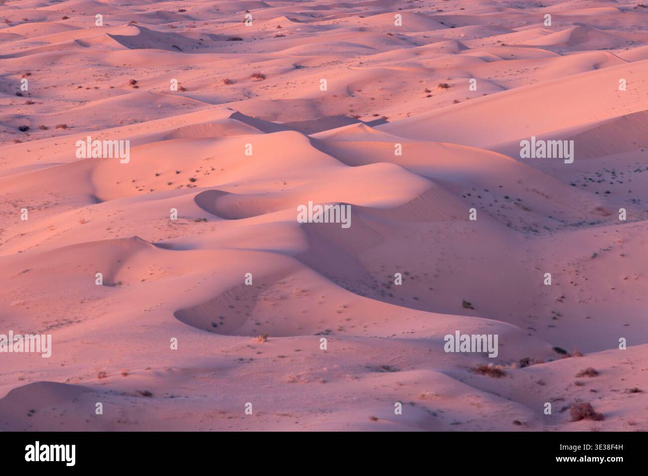 Vista sulle dune di sabbia, North Algodones Dunes Wilderness, California Foto Stock