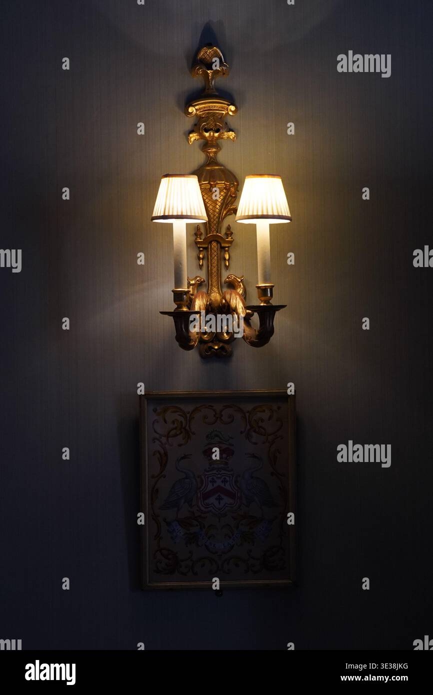 Applique decorata con opere d'arte araldiche incorniciate in una calda illuminazione interna Foto Stock
