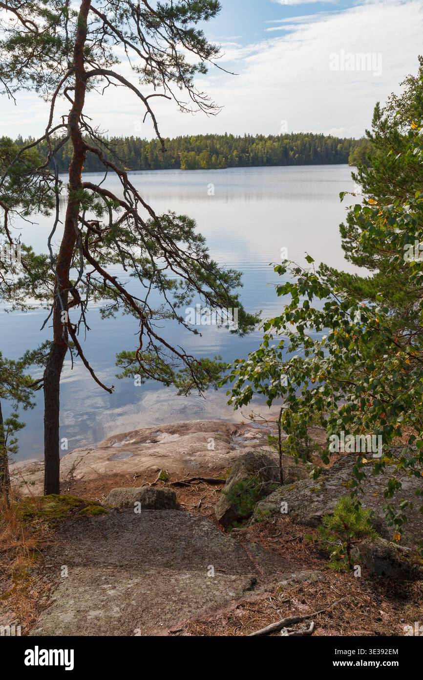 Lungolago roccioso con alberi di pino che si affacciano sulle acque calme e sulla foresta sotto il cielo luminoso. Foto Stock