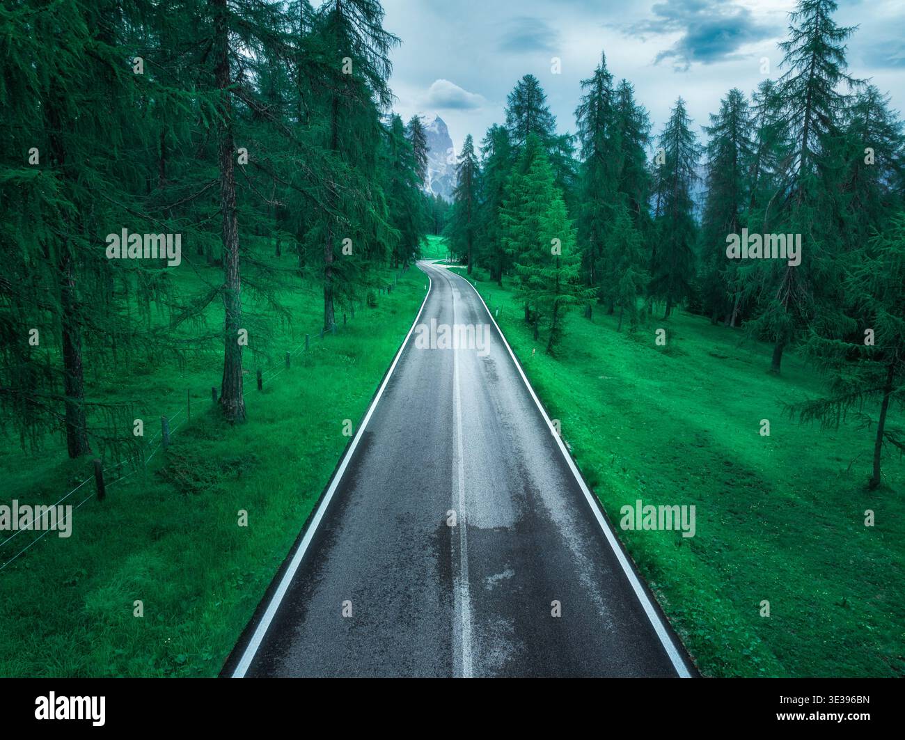 Veduta aerea di una tortuosa strada asfaltata in una vibrante foresta verde Foto Stock