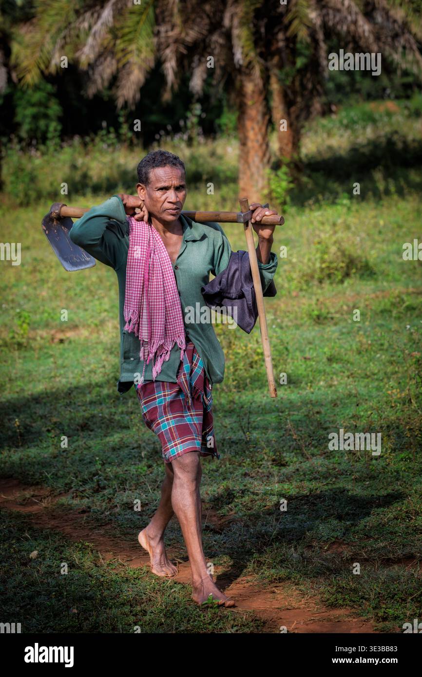 Un contadino in viaggio per i campi di riso, Chhattisgarh, India Foto Stock