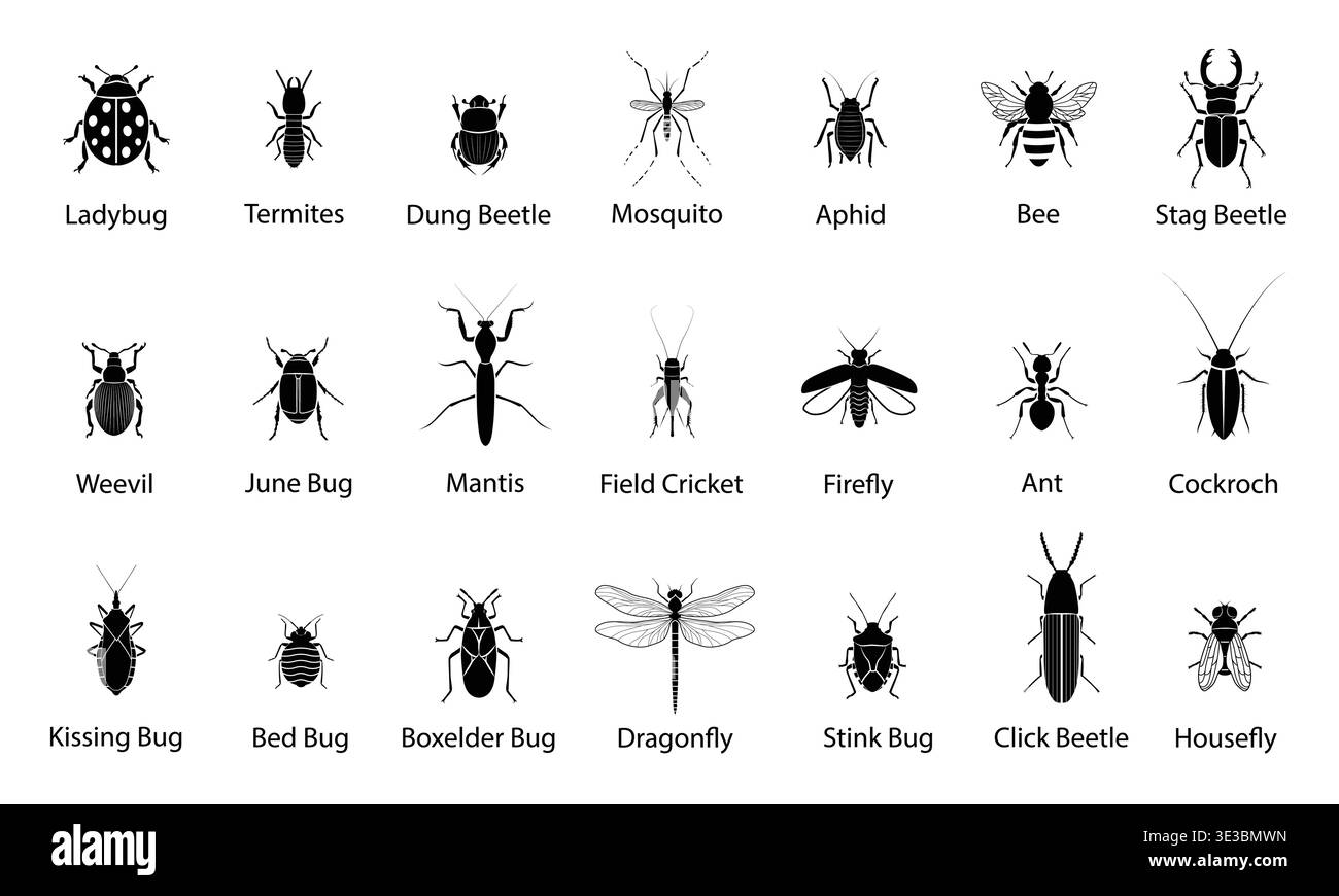Set di illustrazioni vettoriali per sagome di insetti. Insetto, coleottero, mantide, api, formica, Dragonfly, Cockroach e Termite Illustrazione Vettoriale