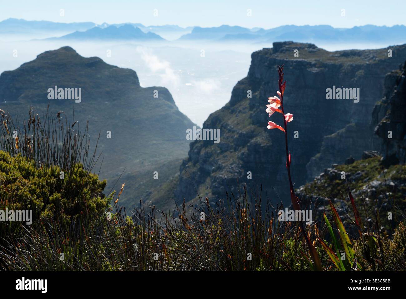 Vista dal Table Mountain e Cape Town, Sud Africa Foto Stock