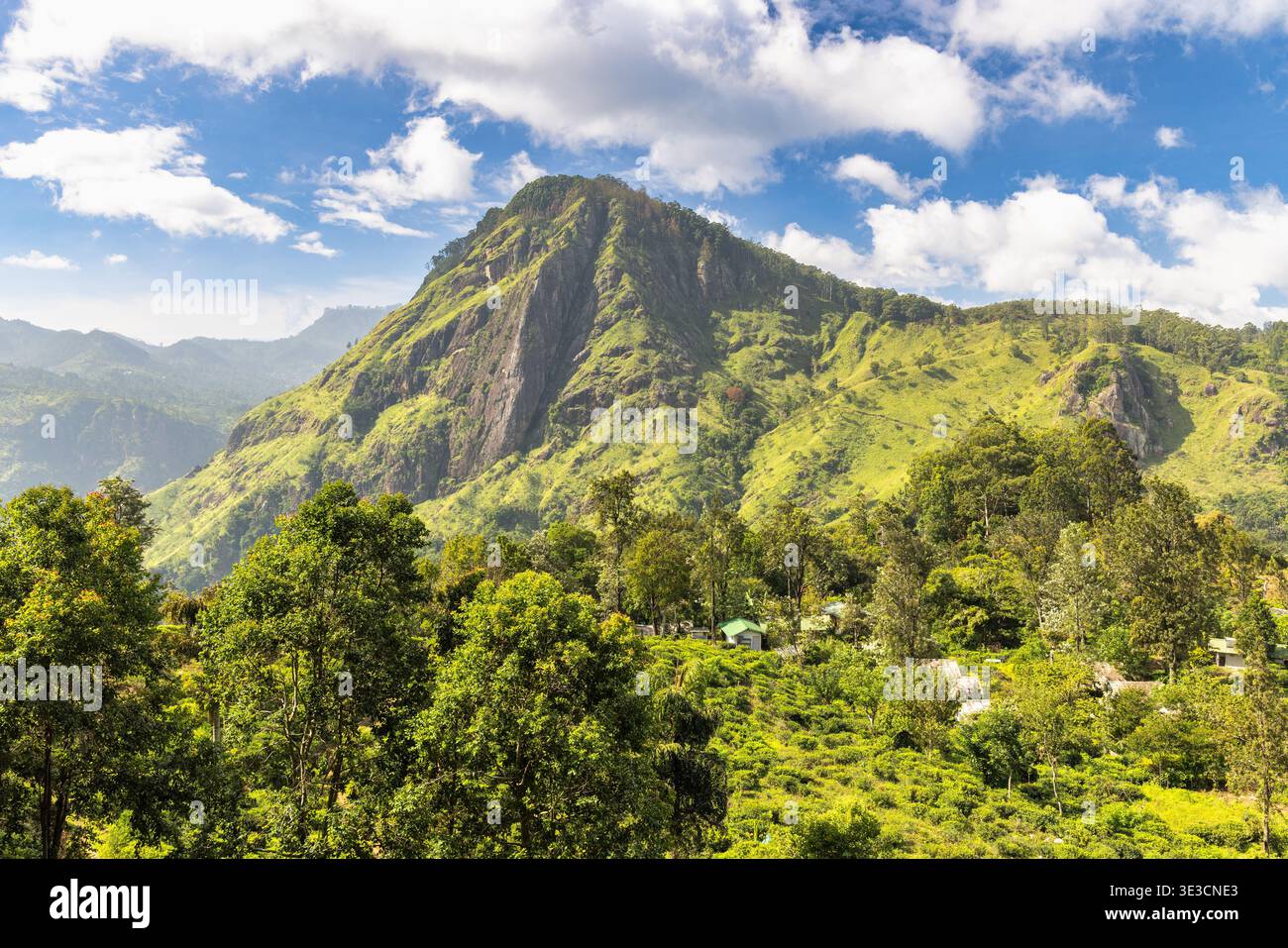 La montagna rocciosa ella nello Sri Lanka. Maestose montagne verdeggianti e lussureggianti foreste verdi sotto un cielo blu luminoso con nuvole bianche, che mostrano un nat incontaminato Foto Stock