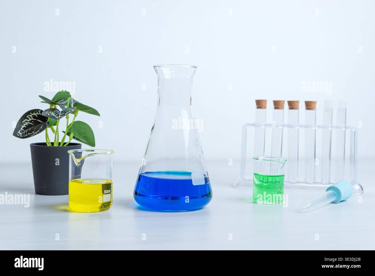 configurazione moderna del laboratorio con vetreria, impianti e provette per test che rappresentano un ambiente scientifico pulito, innovazione e concetto di ricerca sostenibile Foto Stock