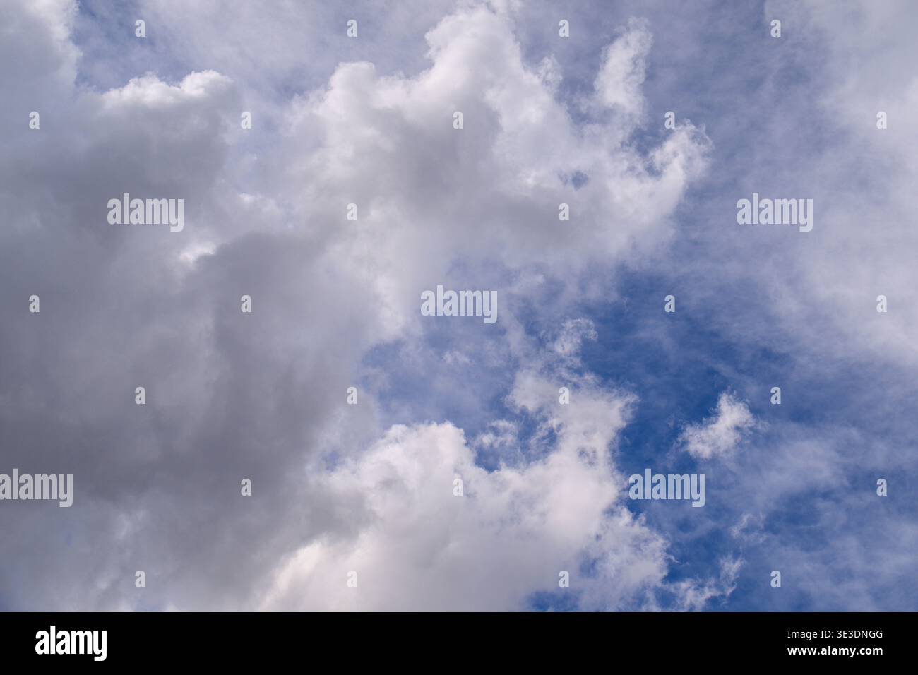 Cielo blu con soffici nuvole bianche che si muovono attraverso. Le nuvole variano da bianco brillante a grigio tenue. Perfetto per sfondi, temi naturalistici o calmi Foto Stock