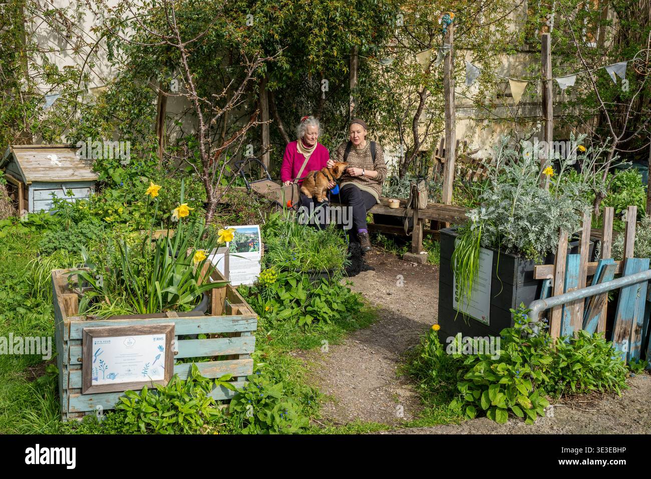 Due donne di mezza età o di età superiore con un piccolo cane in un giardino di beneficenza nel centro di Bath, Somerset, Inghilterra, Regno Unito Foto Stock