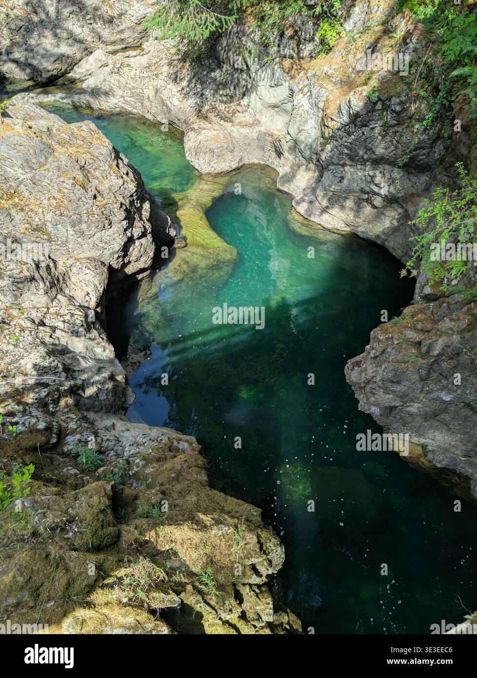 Fiume color smeraldo naturale tra la foresta delle montagne dell'isola di Vancouver in estate su una piccola e soleggiata cascata Qualicum, BC, Canada Foto Stock