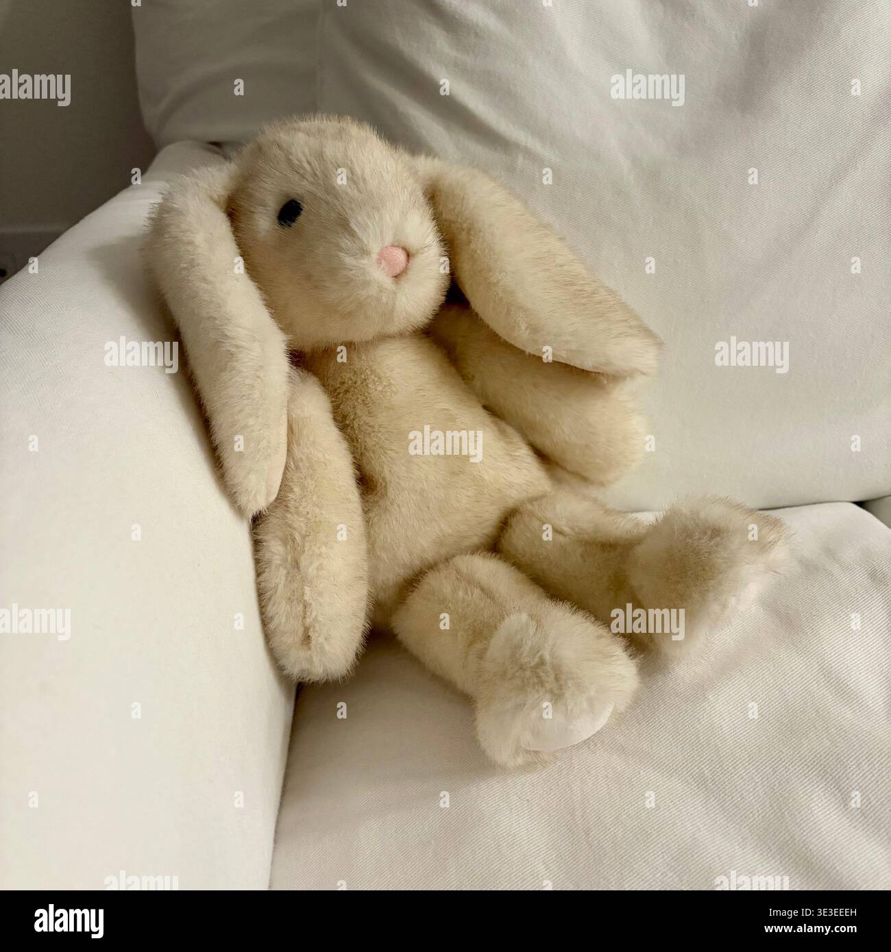 Un coniglietto di animali imbottito si siede su un divano. Foto Stock