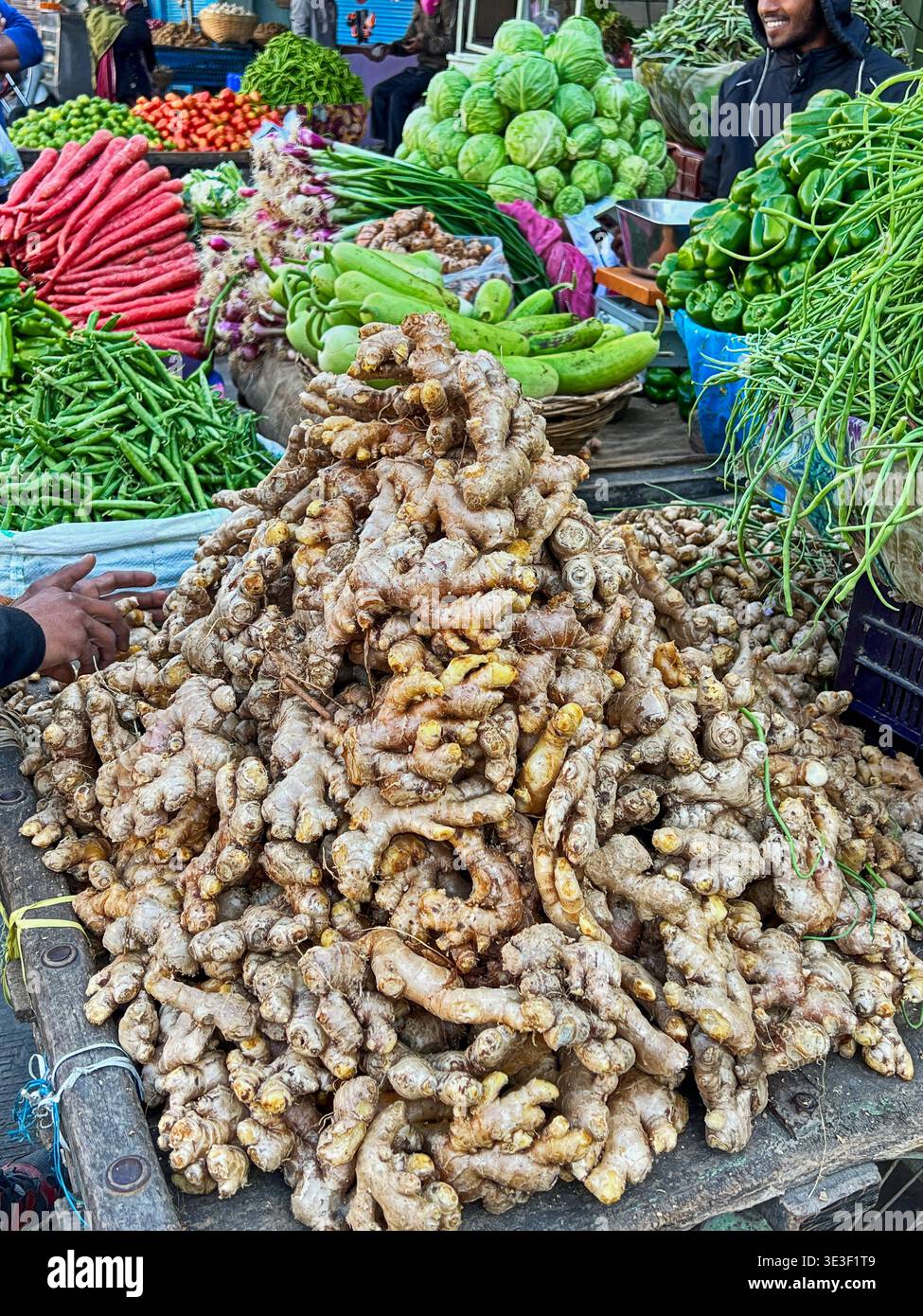 Un enorme mucchio di radici di zenzero sono impilate su un tavolo accanto ad altre verdure al mercato di Udaipur, in India. Foto Stock
