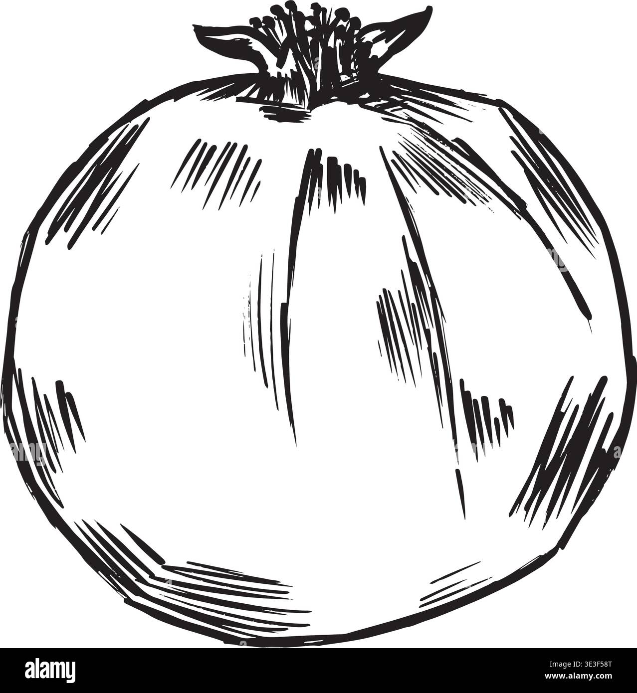 Melograno intero disegnato a mano con corona, studio inchiostro monocromatico con tratti di contorno grassetto, umore botanico rustico, dettagli Rind testurizzati, ideale per imballaggi culinari, stampe botaniche, ricettario, Illustrazione Vettoriale
