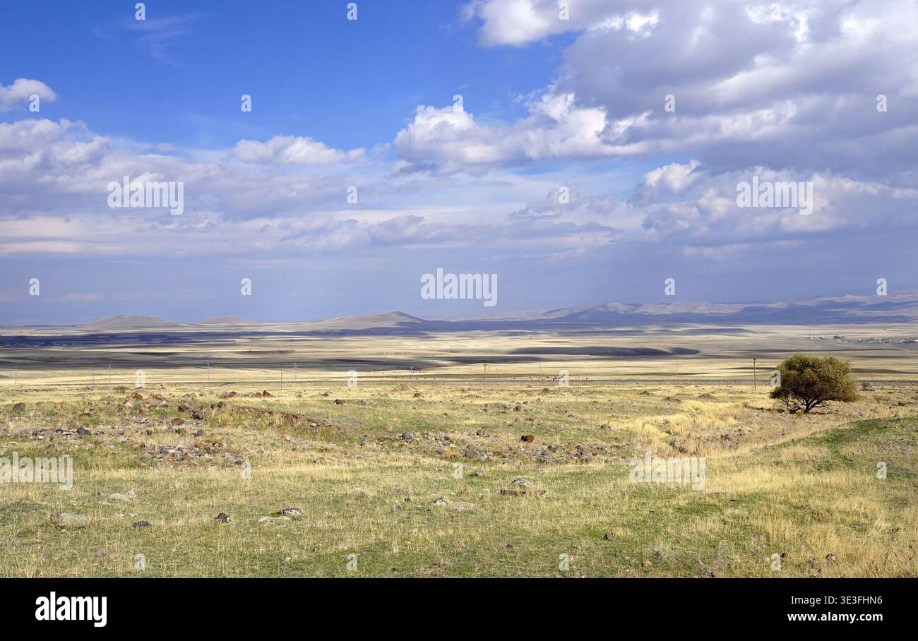 Una vista panoramica ad ampio angolo delle vaste e ondulate pianure erbose e delle lontane colline vicino all'antico sito di Ani nella provincia di Kars nella Turchia orientale Foto Stock