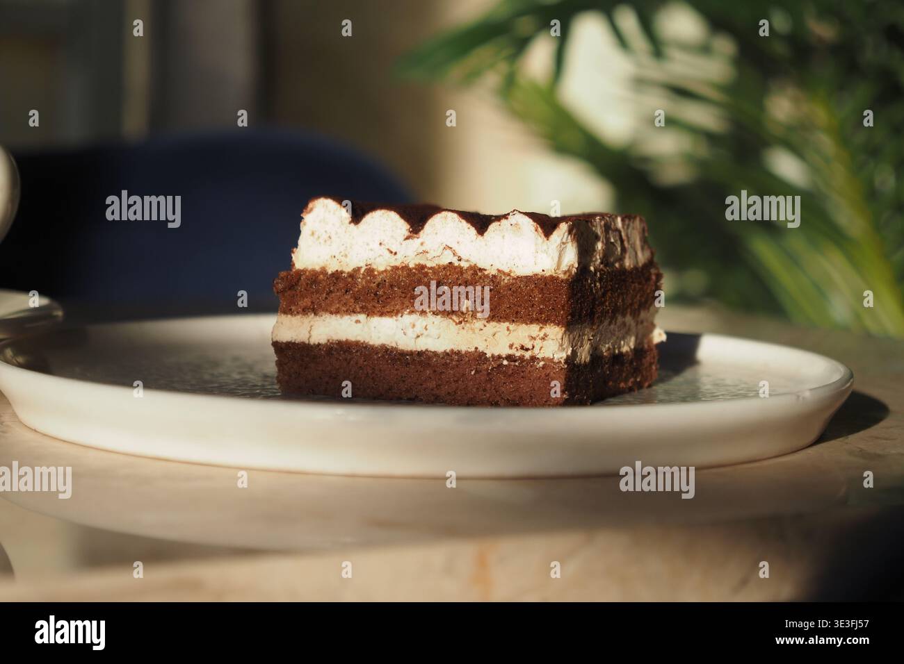 La fetta di torta al cioccolato si trova su un piatto vicino alla pianta verde Foto Stock