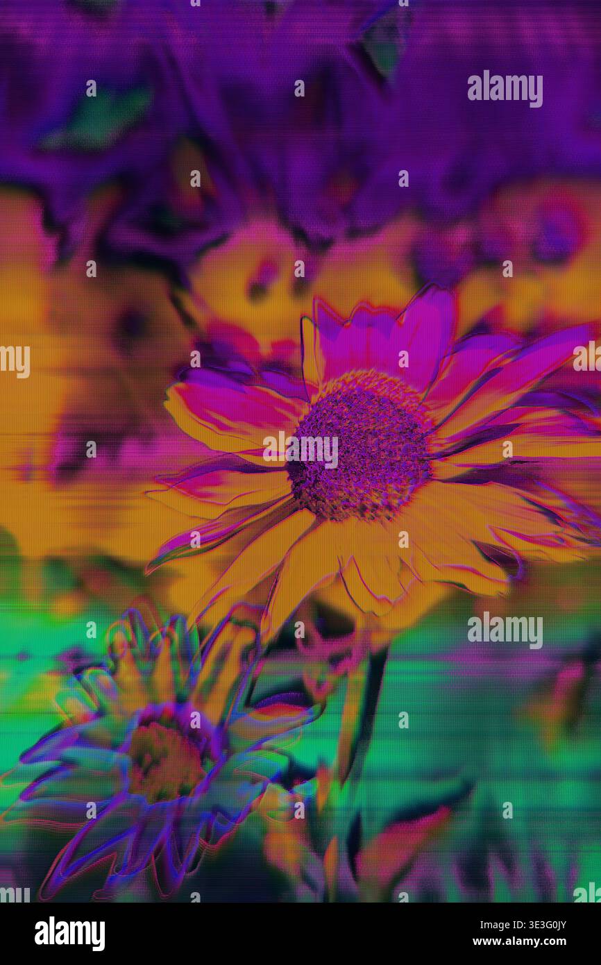 Distorsione floreale glitch con Rainbow RGB Split e linee di scansione Foto Stock