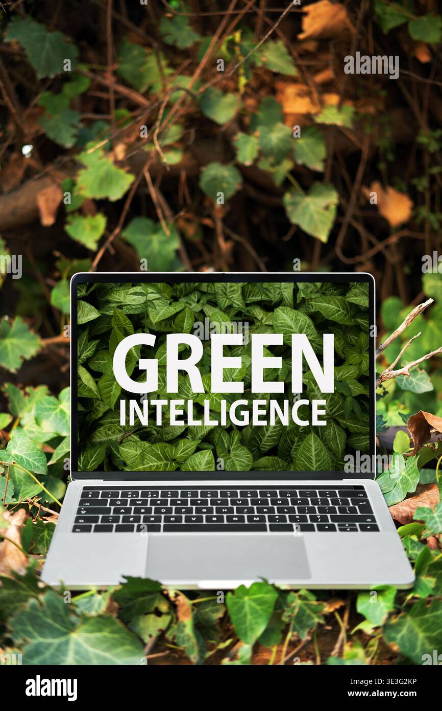 Schermo di un notebook che visualizza testo e foglie di INTELLIGENZA VERDE, combinando tecnologia, sostenibilità e natura in un ambiente naturale Foto Stock
