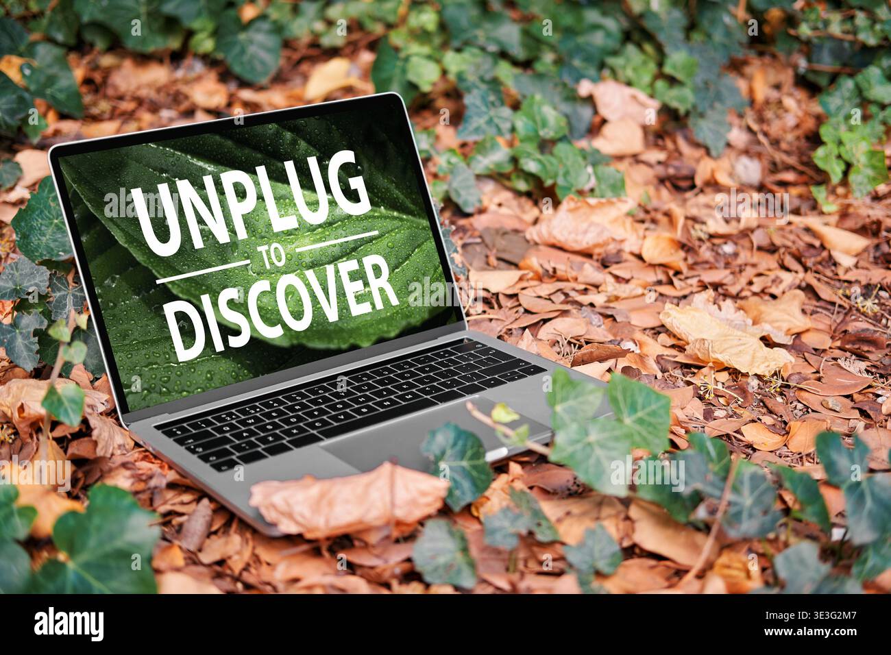 Schermo del notebook in un ambiente naturale all'aperto che mostra testo "Splug to Discover", simboleggia la disintossicazione digitale e la connessione con la natura Foto Stock