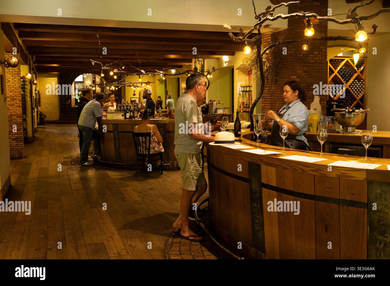 Degustazione di vini al Fairview Wine and Cheese, Paarl, Sud Africa Foto Stock