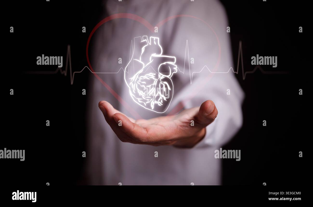 Medico che tiene in mano un ologramma digitale di un cuore umano con linea del polso ECG. Cardiologia, diagnosi, innovazione nel supporto vitale, tecnologia medica, guarigione cardiaca Foto Stock