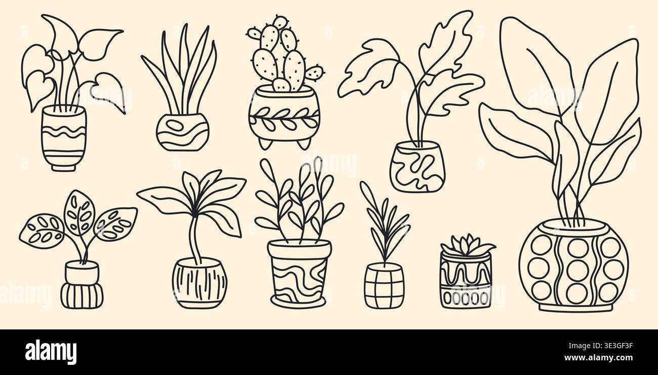 Pianta da interni in set di pentole, stile boodle sketch. Vari fiori e piante d'appartamento in vasi d'argilla, illustrazioni tratteggiate a mano in nero. Elementi per l'arredamento della casa Illustrazione Vettoriale