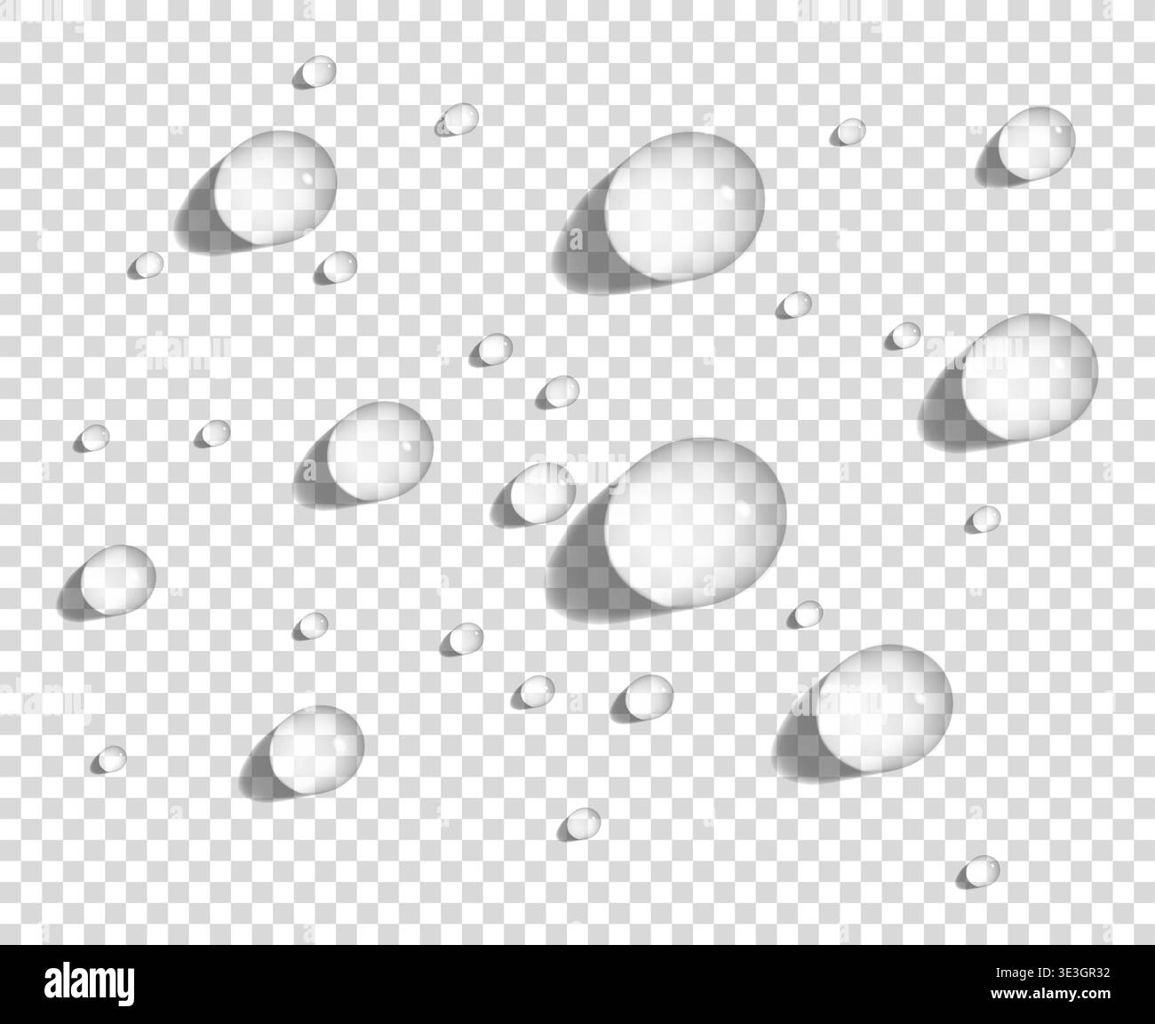 Gocce d'acqua arrotondate chiare su una superficie liscia, illustrazione vettoriale realistica Illustrazione Vettoriale