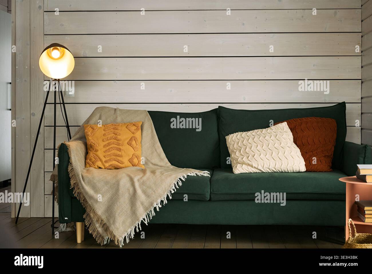 Soggiorno vuoto con divano verde con cuscini e coperte strutturati disposti in modo ordinato, lampada da terra moderna accanto al divano, pannelli a parete in legno che formano lo sfondo, libri impilati sul tavolo Foto Stock