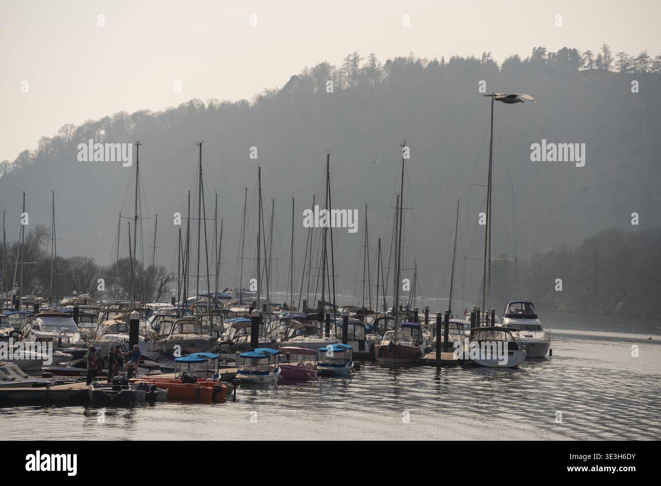L'indaffarata Bowness sullo yacht di Windermere è un paradiso pieno di imbarcazioni da diporto. Foto Stock