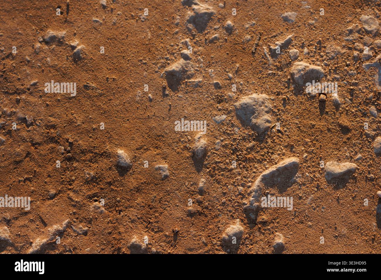 Texture aride e Rocky Ground con Ochre Tones, Spagna Foto Stock