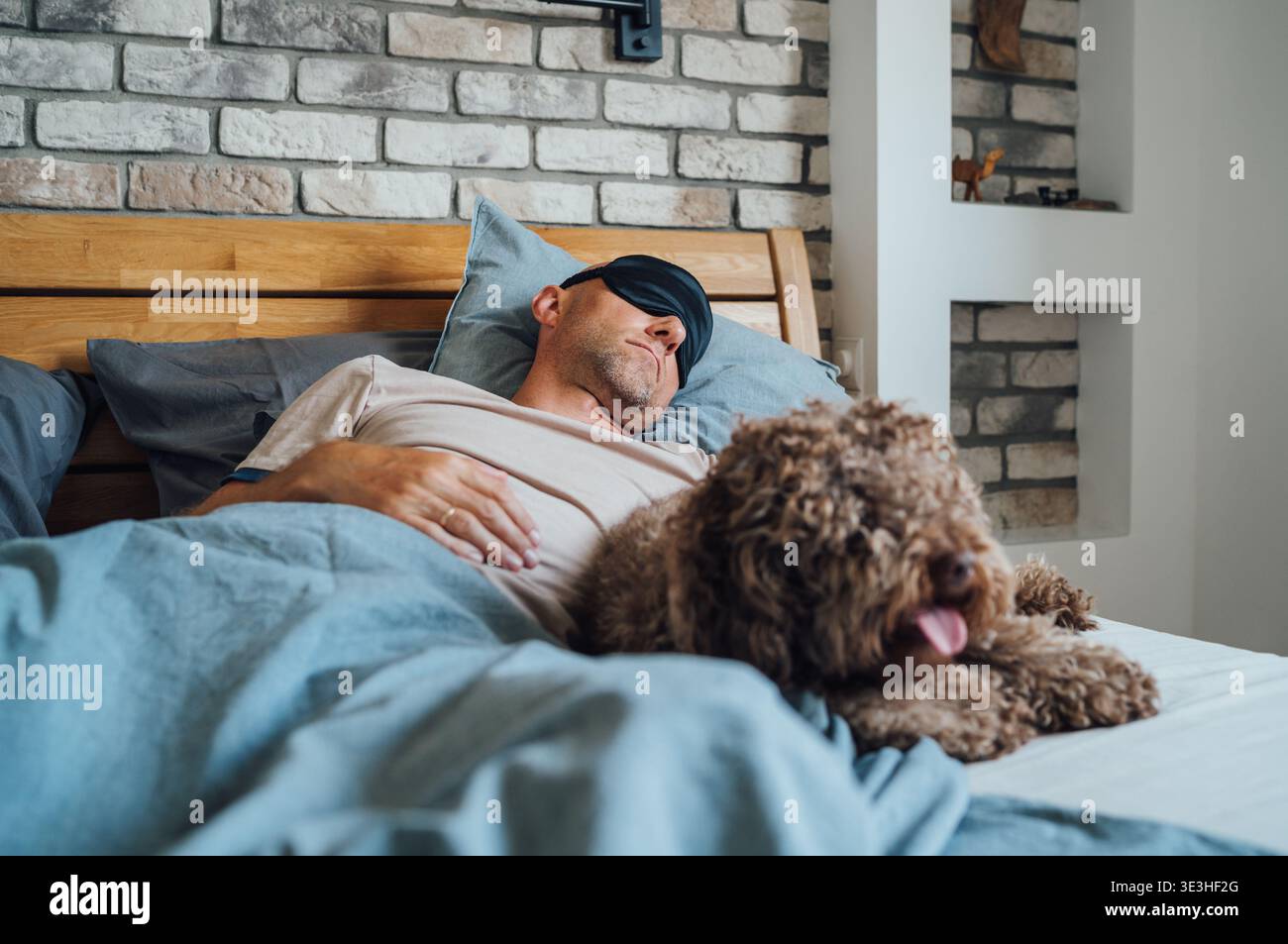 Cane Maltipoo a letto con il proprietario che indossa una maschera nera per gli occhi durante il riposo diurno su sfondo non focalizzato. Animali domestici divertenti e stile di vita sano immagine concetto Foto Stock
