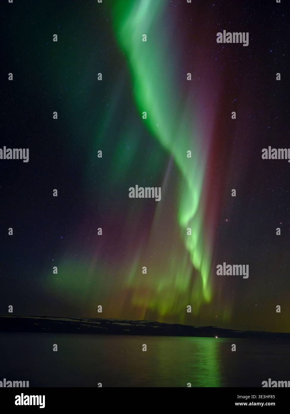 Aurora boreale sul fiordo Isafjardjup vicino a Isafjoerdur vista verso Hornstrandir. Isafjoerdur, la capitale dei Westfjords. The Westfjords (Vest Foto Stock