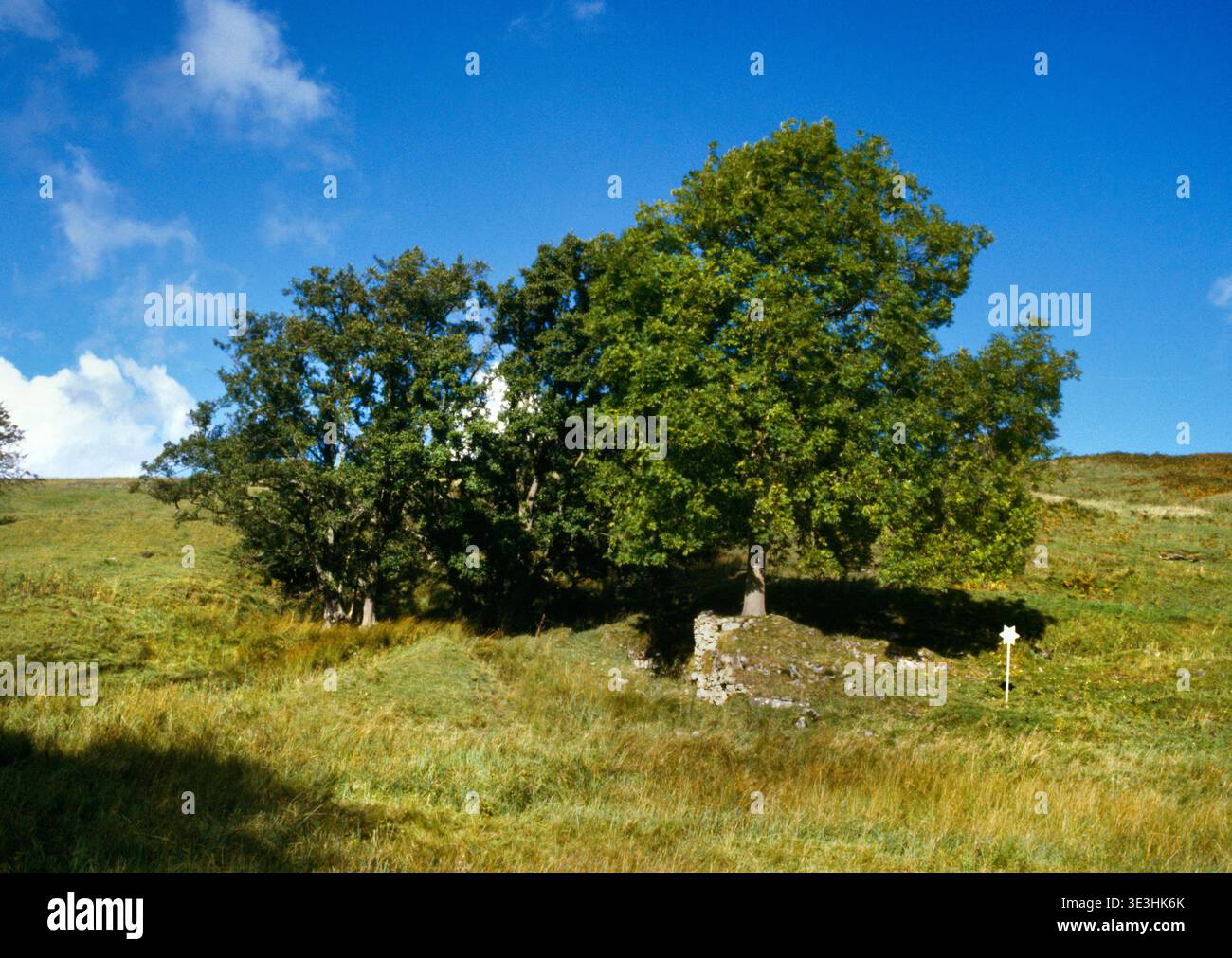Ammira a nord-ovest una stella bianca di metallo che segna un antico monumento programmato sul campo di addestramento militare delle Otterburn Ranges, Northumberland, Inghilterra, Regno Unito. Foto Stock
