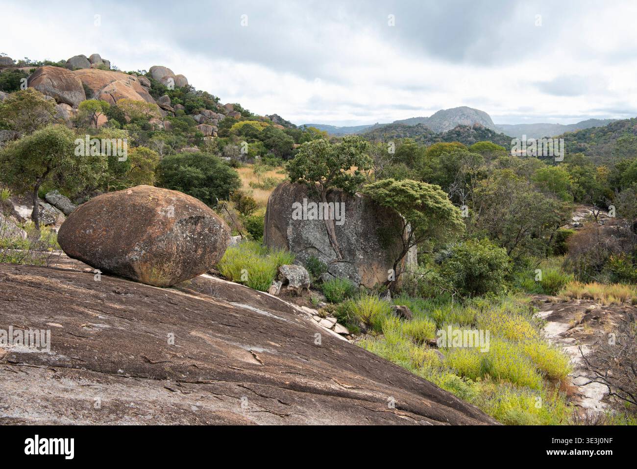 Vista dalla grotta di Nswatugi, dal Parco Nazionale di Matobo, Zimbabwe Foto Stock