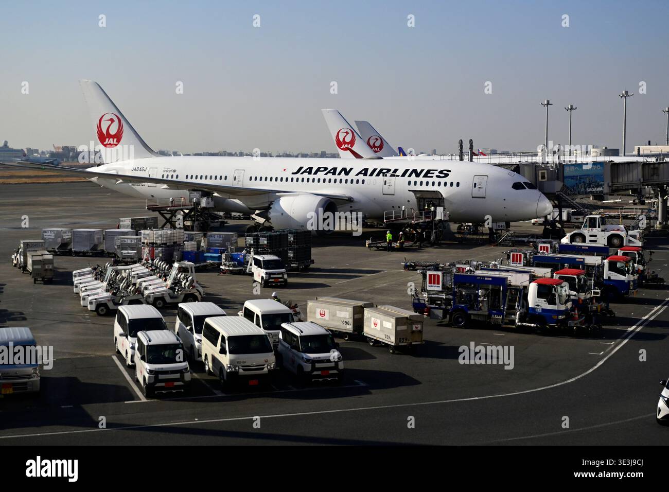 Aerei Japan Airlines alle porte dell'aeroporto di Haneda, Tokyo, Giappone. Foto Stock