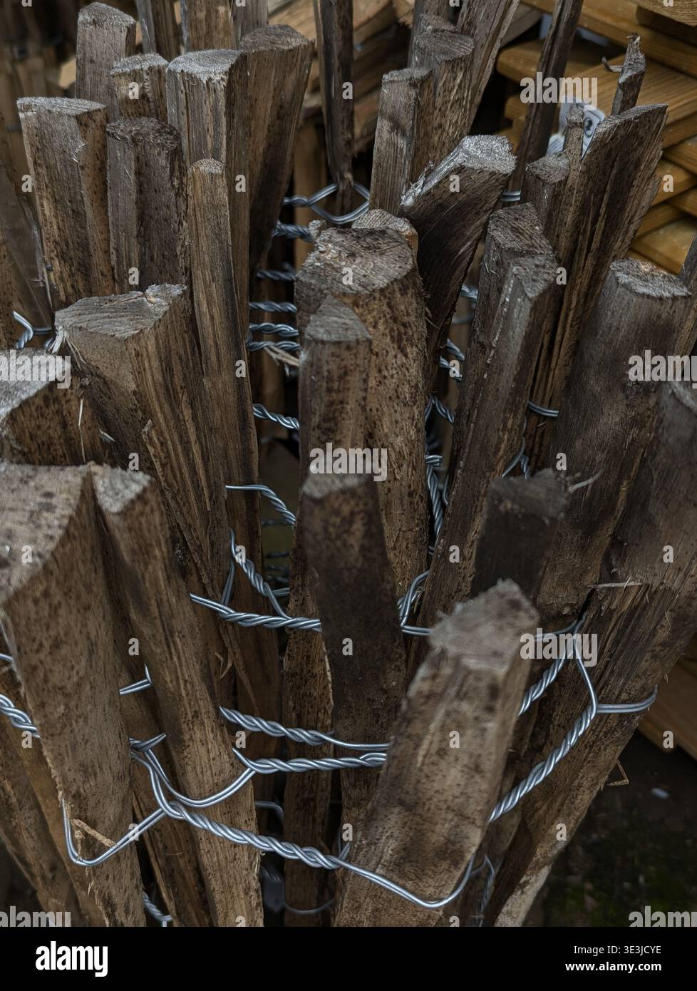 Pacchetto primo piano di picchetti di legno appuntiti legati con filo, corteccia ruvida sbucciata, punte tagliate affilate, pronto per la semina o la recinzione, agricolo e paesaggistico Foto Stock