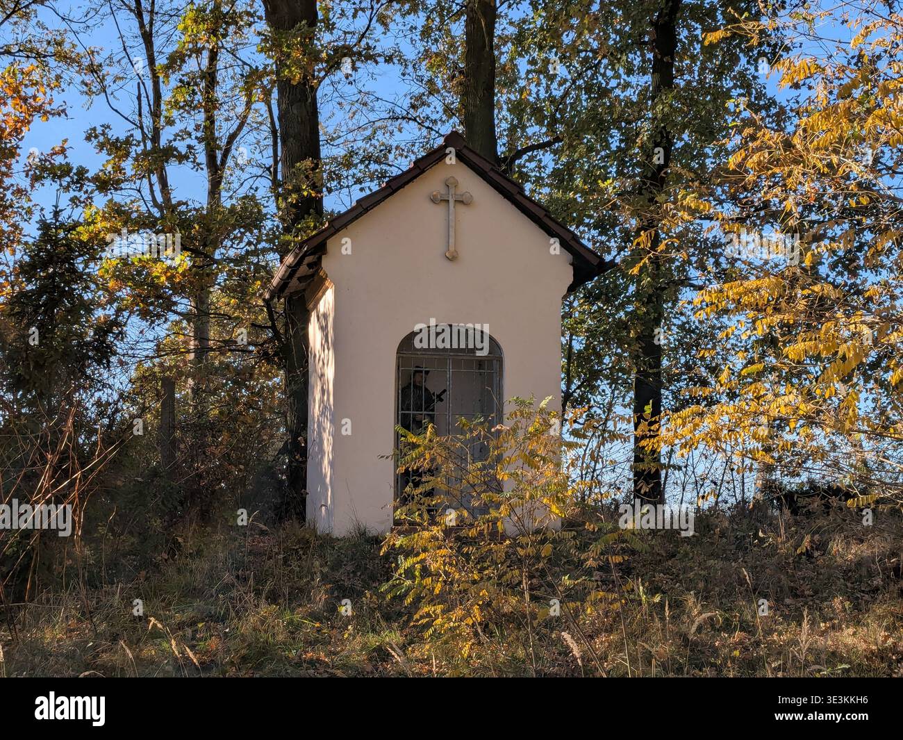 Santuario lungo la strada. Toszek, Polonia. Foto Stock