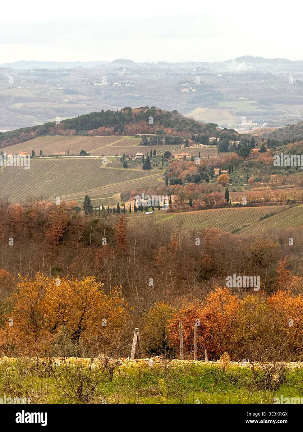 Tardo autunno in Toscana, con splendidi colori stagionali, paesaggi ondulati e una calda luce d'atmosfera nella campagna italiana. - Immagine stock catturata con smartphone