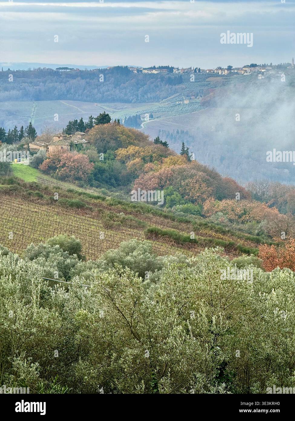 Tardo autunno in Toscana, con splendidi colori stagionali, paesaggi ondulati e una calda luce d'atmosfera nella campagna italiana. - Immagine stock catturata con smartphone