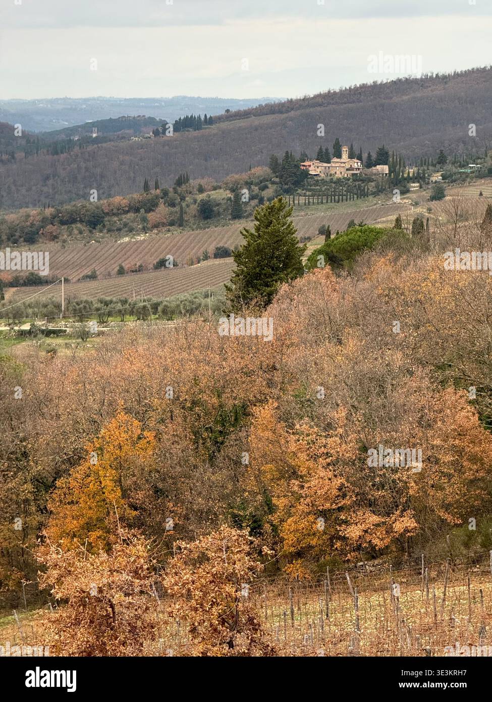 Tardo autunno in Toscana, con splendidi colori stagionali, paesaggi ondulati e una calda luce d'atmosfera nella campagna italiana. - Immagine stock catturata con smartphone
