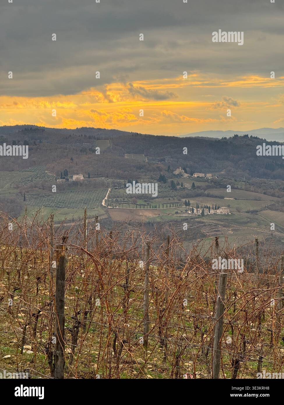 Tardo autunno in Toscana, con splendidi colori stagionali, paesaggi ondulati e una calda luce d'atmosfera nella campagna italiana. - Immagine stock catturata con smartphone