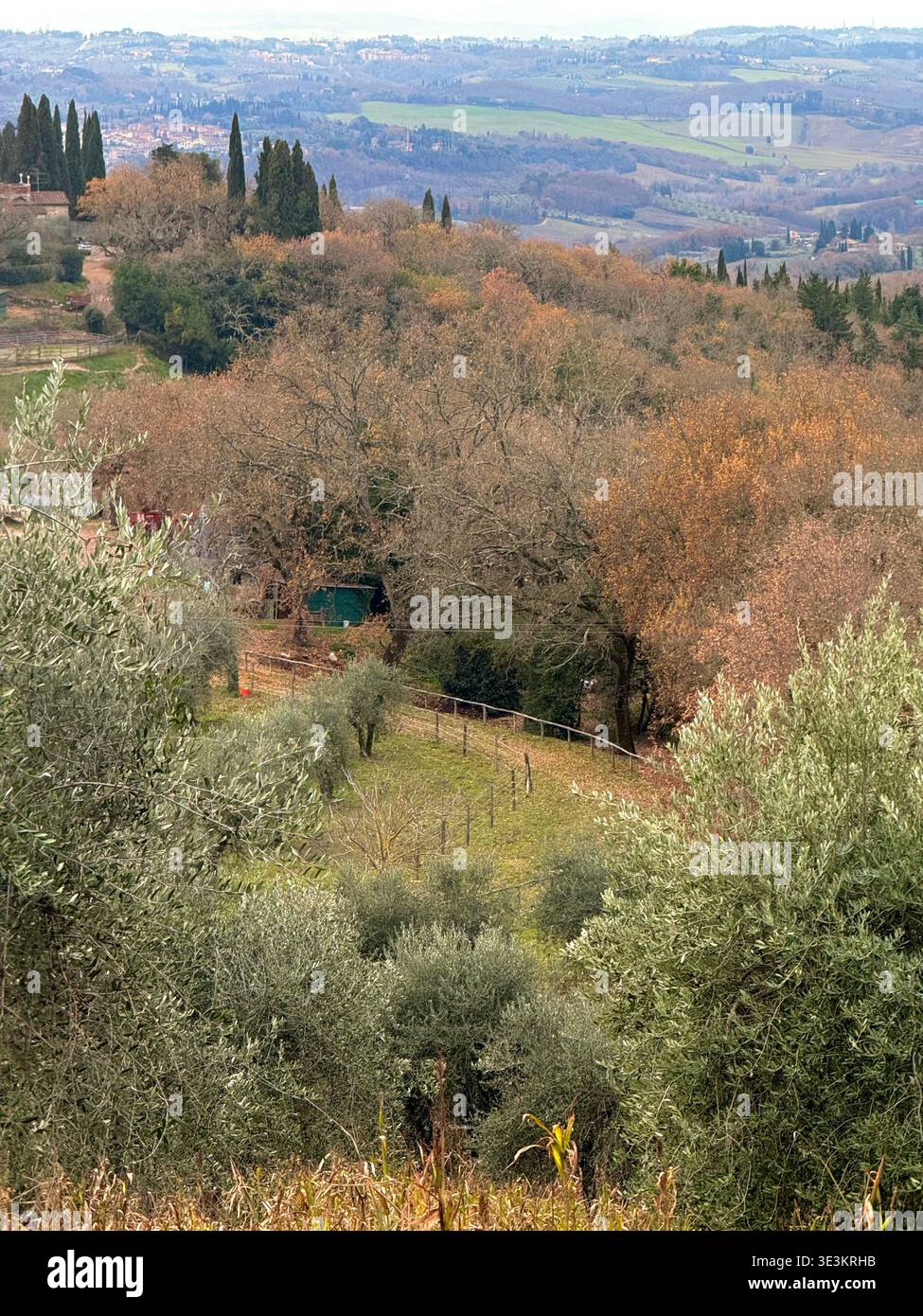 Tardo autunno in Toscana, con splendidi colori stagionali, paesaggi ondulati e una calda luce d'atmosfera nella campagna italiana. - Immagine stock catturata con smartphone